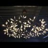 Moooi Heracleum II led chandelier - Image 3