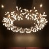 Moooi Heracleum II led chandelier - Image 4